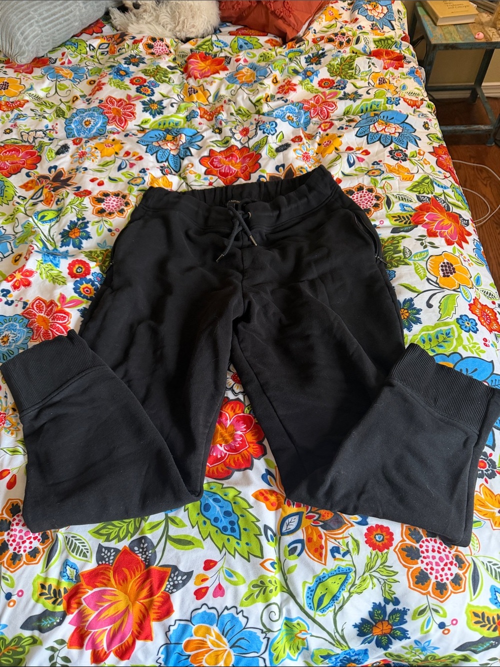 Women’s Black Drawstring Jogger Pants